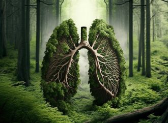 24 Mart Dünya Tüberküloz Günü