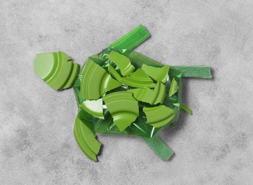 5 Haziran Dünya Çevre Günü-Plastik Kirliliğine Çözümler