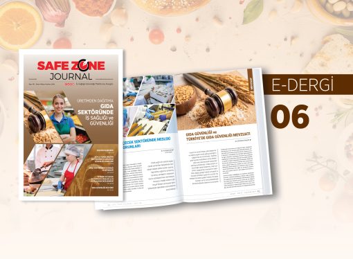 Safe Zone Journal Dergi / E-Dergimizin 6. Sayısı Sizlerle