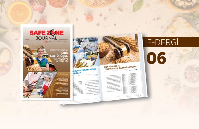 Safe Zone Journal Dergi / E-Dergimizin 6. Sayısı Sizlerle