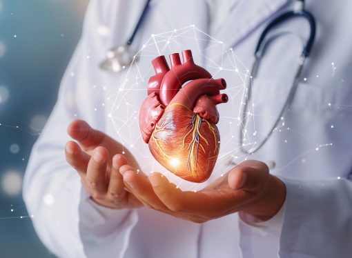 Mesleki Kardiyovasküler Hastalıklar: Riskler, Nedenleri ve Önlenmesi