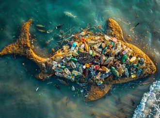 Mikroplastik Toksikolojisi